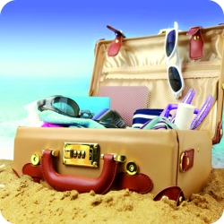 Travel Bags