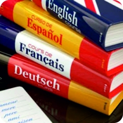 Foreign language books