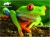 Δεσύλλας 3D Puzzle 48τμχ Animal Planet Tree Frog 13826