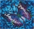Dotz Flutter By Maune DD5.017