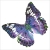 Dotz Flutter By Maune DD5.017