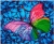 Dotz Flutter By Pink DD5.015