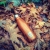 EcoLife Μπουκάλι Θερμός 0,5 λίτρα Wood 33-BO-3022