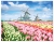 Παζλ Hinkler Dutch Windmills Holland Netherlands 1000pcs