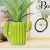 Legami Milano Μολυβοθήκη Κεραμική Desk Friends Cactus PHS0003