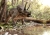 117 Pieces Master Puzzle 1 + 1 Creators Dinosaurs 2
