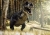 117 Pieces Master Puzzle 1 + 1 Creators Dinosaurs 2