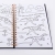 Scratch Art Sparkles I Love Dinosaurs SCR-8