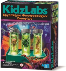 4M Toys Εργαστήριο Φωσφορούχων Ζωυφίων 4M0635