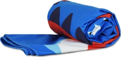 AlpinTec Πετσέτα DryFast 70X120 εκατοστά Surfing Dino CMS-L-2