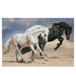 Diamond Dotz Mosaic Horses Canvas Diamond Painting Kit 62x42cm SD7403