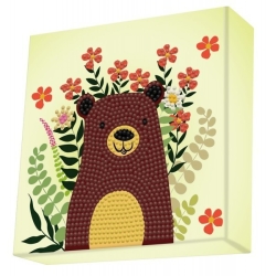 Dotz Box Hide N' Seek Bear DBX.053