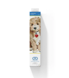 Dotz Lovely Boy DD6.007