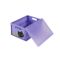 i-TOTAL Πλαστκό Κουτί Αποθήκευσης Black Cat 30x21x15εκ. XL2702A