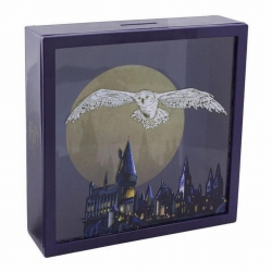 Money Save-Frame Harry Potter Hedwig PP10384HP