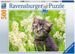 Ravensburger Παζλ Γάτα Puzzle Kitten In The Meadow  500p 12000367