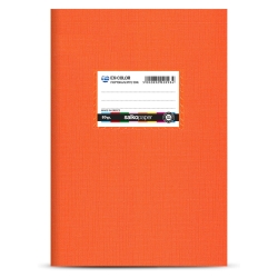 Salkopaper Ex-Color Τετράδιο Ριγέ Καρφίτσα 17x25cm 30φ Πορτοκαλί