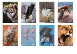 Τετράδιο A4 42φ Animal Wildlife 6874