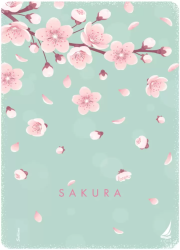 Τετράδιο Σπιράλ 17x25cm 2 Θεμάτων Sakura