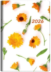 ΘΕΟΦΥΛΑΚΤΟΣ ΗΜΕΡΟΛΟΓΙΟ ΗΜΕΡ. 9Χ13 MARIGOLD